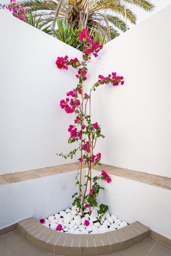 Ds Traditional Villas Santorini Island Karterados  Dış mekan fotoğraf